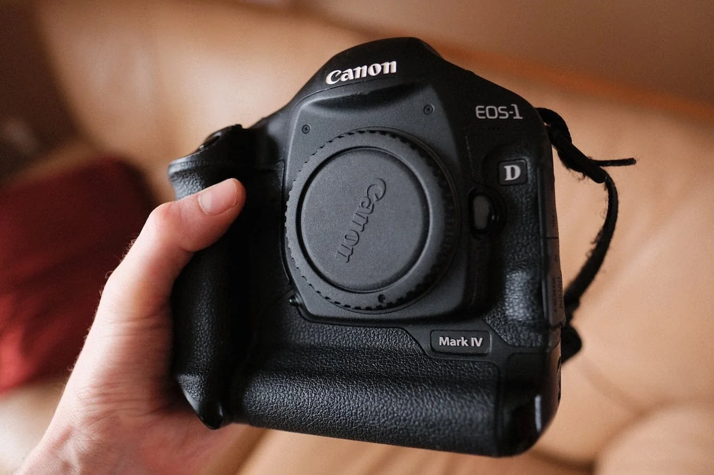 Why I still shoot with a decade old DSLR: — The Most